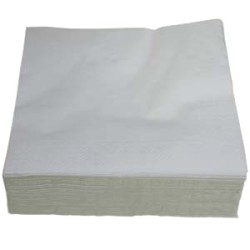 Serviette pure ouate blanche 2 plis 30x30cm - Ct de 4000