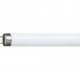 Tube LED G13 8W CW 600mm PHILIPS