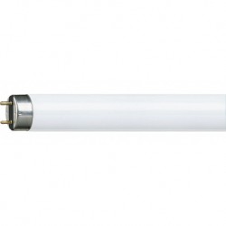 Tube LED G13 8W CW 600mm PHILIPS