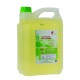 Détergent multi-usages Ecolabel IDEGREEN - 1803 - Bidon 5L