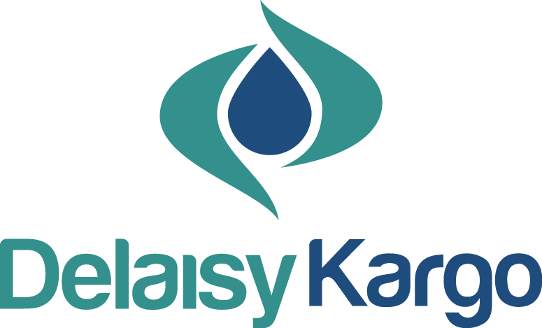 logo_delaisy_kargo_1.png